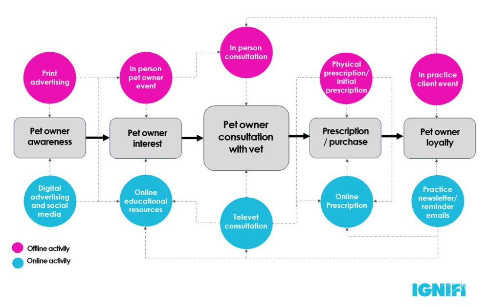 A flow chart showing online and offline consultations with a vet