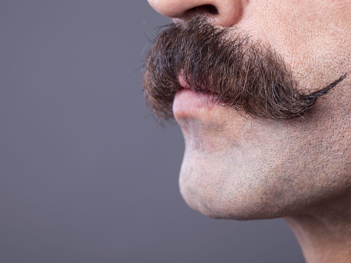 Close up handle bar mustache for movember